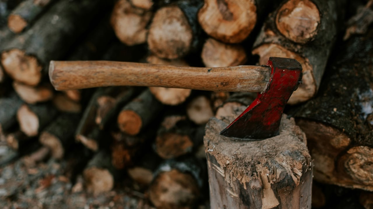 Madera más blanda del mundo